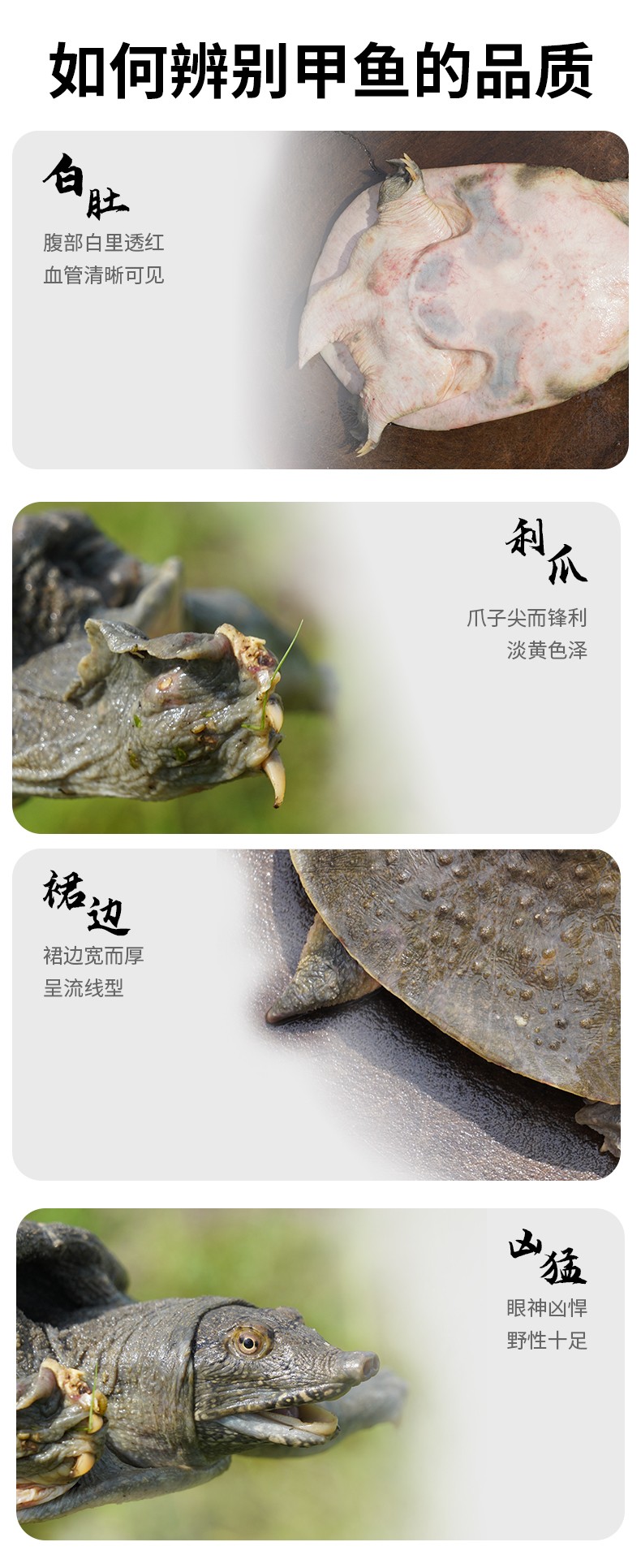 和萬安|生態(tài)農業(yè)|有機食品|綠色食品|稻田共養(yǎng)