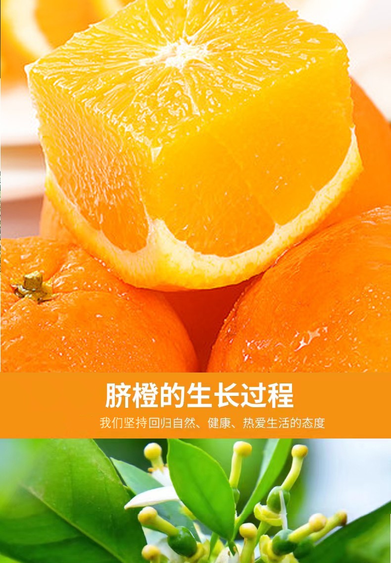 和萬安|生態農業|有機食品|綠色食品|稻田共養