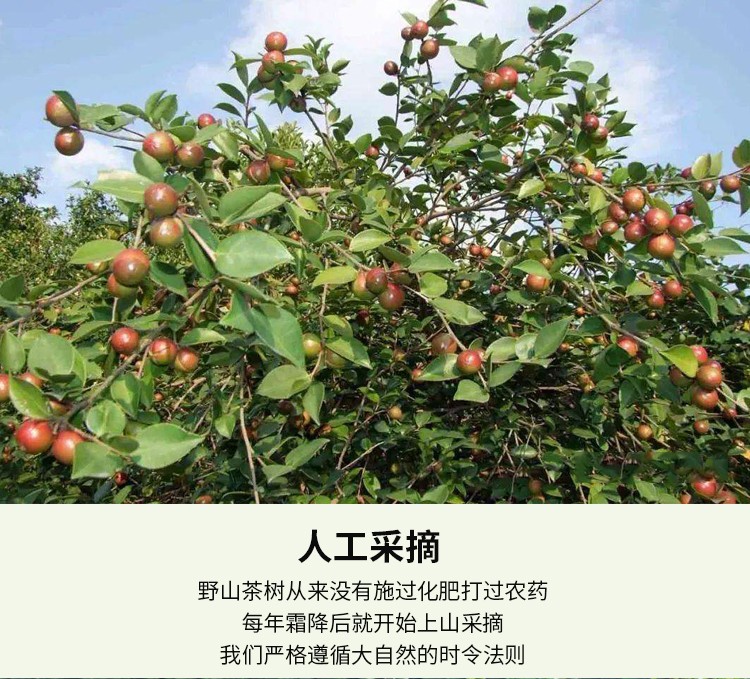 和萬安|生態(tài)農(nóng)業(yè)|有機(jī)食品|綠色食品|稻田共養(yǎng)